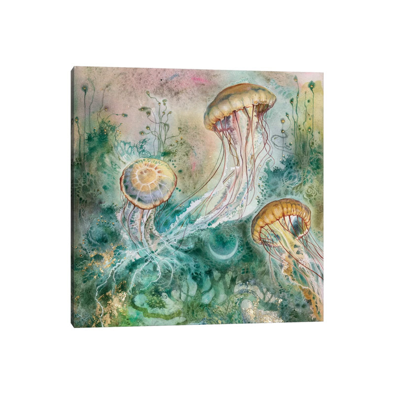 Jellyfish by Stephanie Law - Wrapped Canvas Painting, 30.48 cm H x 30.48 cm W