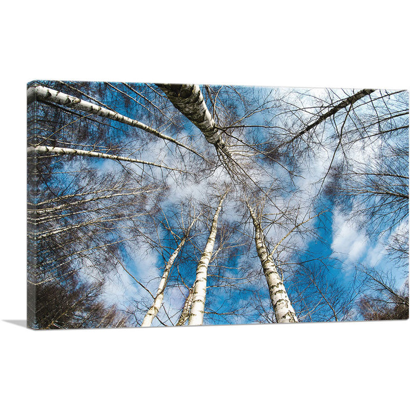 High Trees Forest Home Decor - reproduction de photo sur toile tendue, H 18 po x l 26 po x P 0,75 po