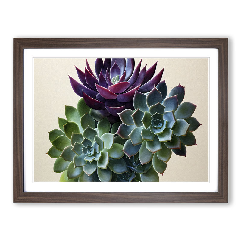 Watercolour Succulent Plant Vol.2 - Framed Print, 25cm H x 34cm W, Brown