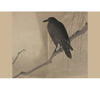 " Crow On A Willow Branch "