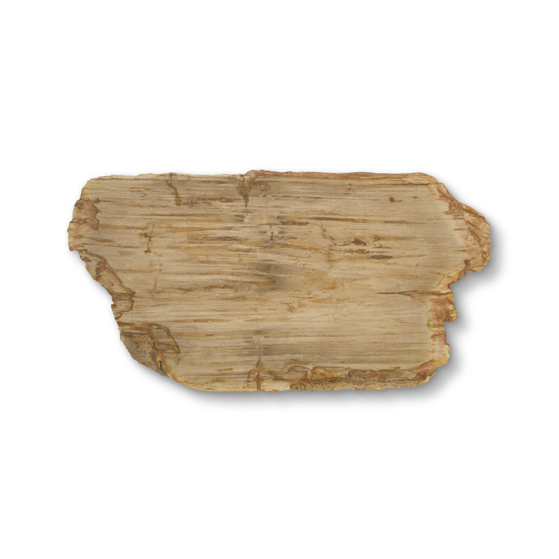 Elements Cross Legs Coffee Table