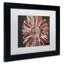 «Silvery Pink» par Lois Bryan - reproduction de photo sur toile encadrée-1979091931