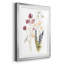 Lobelia Garden II - Single Picture Frame Print-804285508-804285511