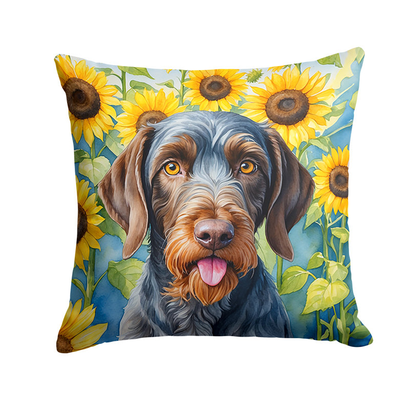 Coussin décoratif intérieur / extérieur Autre / Sans motif, H 18 po x l 18 po