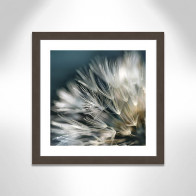 «Dandelion Dreams I» par Edgemont, impression encadrée