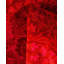 Tapis rose noué à la main de conception unique Holsworth - rose