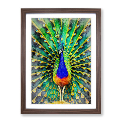 Peacock Watercolour No.1 - Framed Print