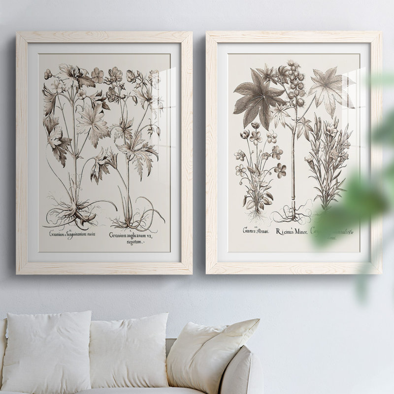 Sépia Besler Botanicals V-Premium, reproduction encadrée - prête à être accrochée, H 27,5 po x l 75 po x P 1,5 po, Blanc