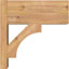 Sapin Douglas-113998552-109329452