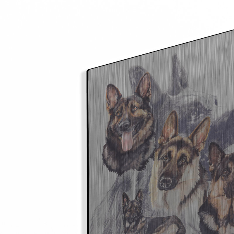 «German Shepard» par Barbara Keith, H 16 po x l 12 po