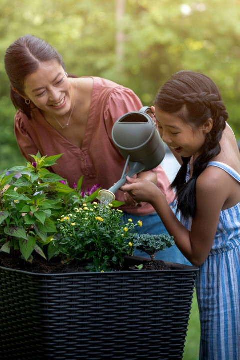 Shop All Planters