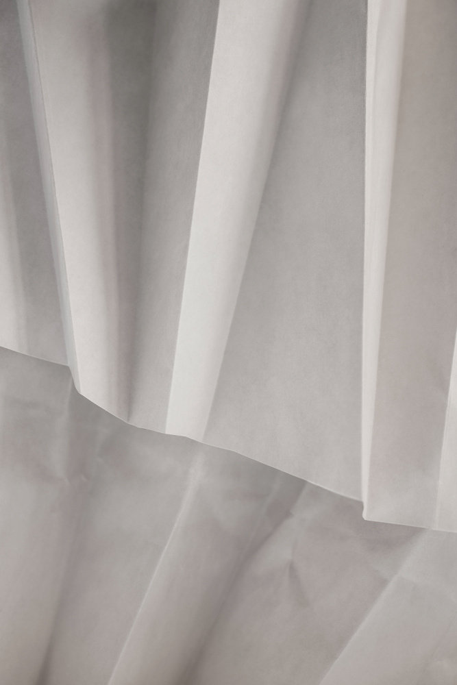 Ivy Bronx Paper Studies 14 | Wayfair.co.uk
