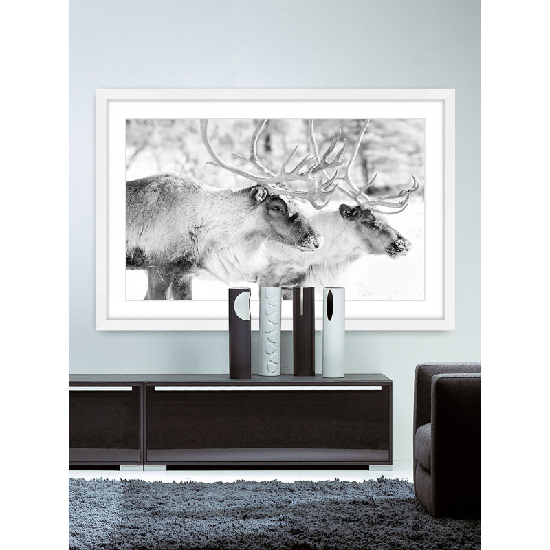 « elk pair », reproduction de photo sur papier encadrée, H 12 po x l 18 po x P 1,5 po