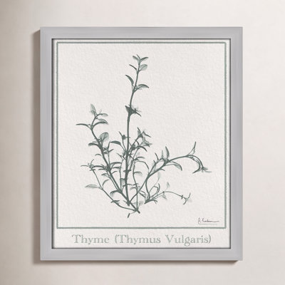 Jeanette "Thymus Vulgaris" Print
