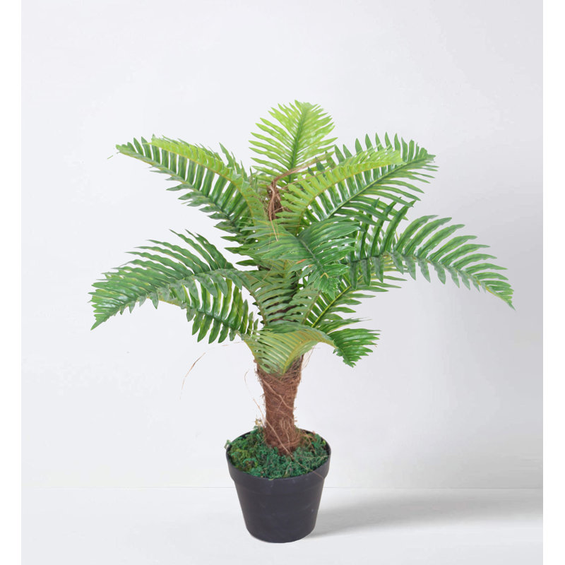 Faux Palm Plant in Pot, 60"H x 50"W