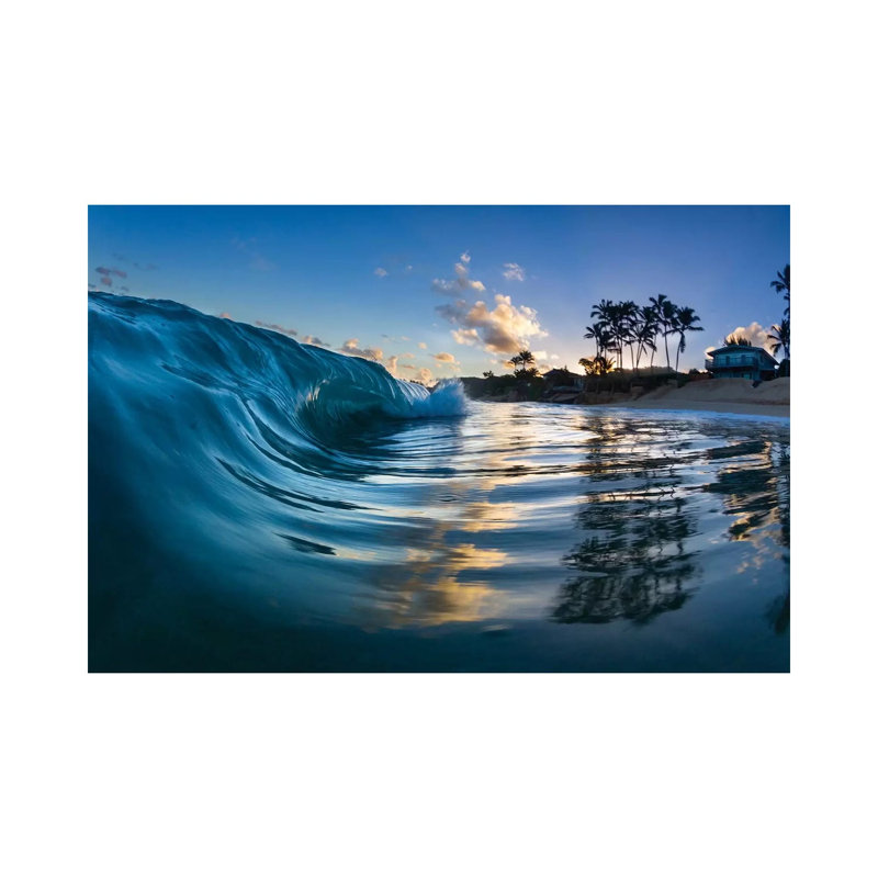 Glass Palms by Sean Davey - Gallery-Wrapped Canvas Giclée on Canvas, 20.32 cm H x 30.48 cm W, Canvas