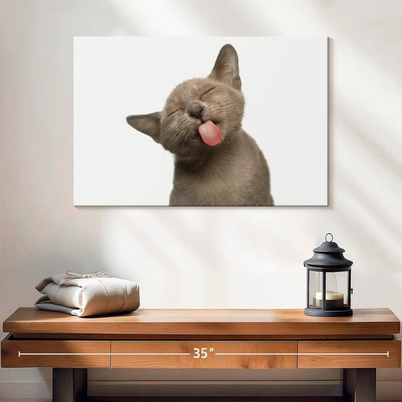 La langue de chat Brampt, H 16 po x l 24 po