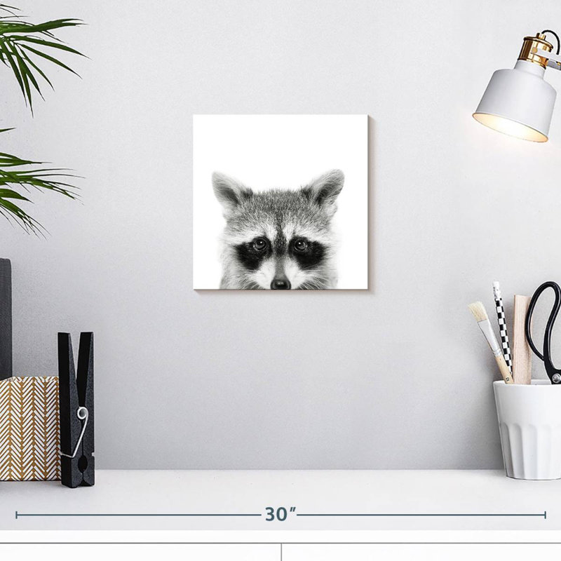 Raton laveur Peeking, H 10 po x l 10 po