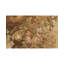 Wool Area Rug