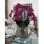 Olympian Phalaenopsis Orchids Centerpiece in Planter-849736862-849736863