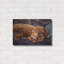 «Beauty Rest» par CR Townsend-1139037820