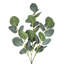 Ensemble de 4 branches d'eucalyptus artificiel
