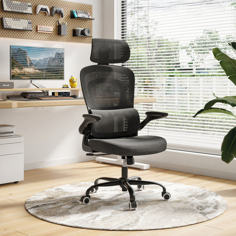 High Back Ergonomic Mesh Office Chair, Black/Black