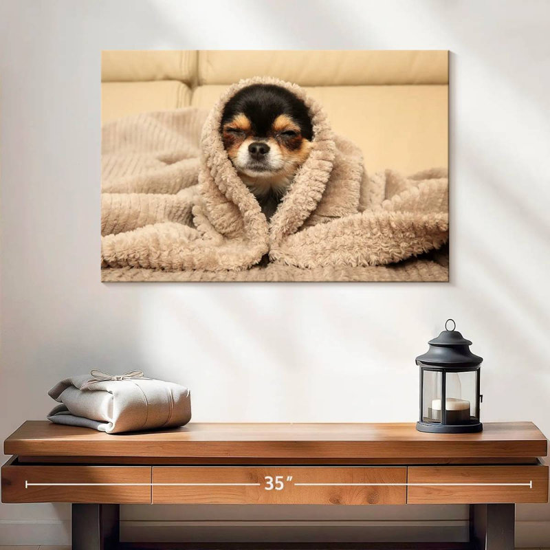 Chihuahua douillet Brampt, H 16 po x l 24 po