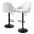 Briyanna Swivel Modern Bar Stools, Adjustable Counter Height Barstools with Backrest and Footrest-1156320168