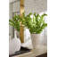 Vega Handcrafted Porcelain China Table Vase