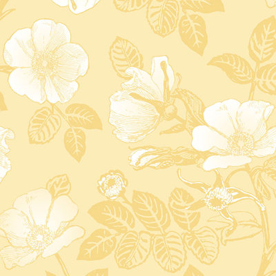 Burkhead Floral Roll