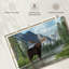 Habitat Bull Bull-107699936