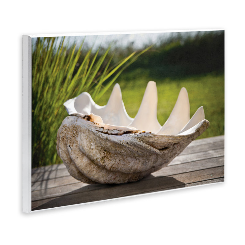 Plaque murale coquille de trésor de mer, design par Seven Trees Design, H 13 po x l 19 po
