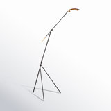 Cillian 60.5'' Black/Satin Brass LED Task Floor Lamp