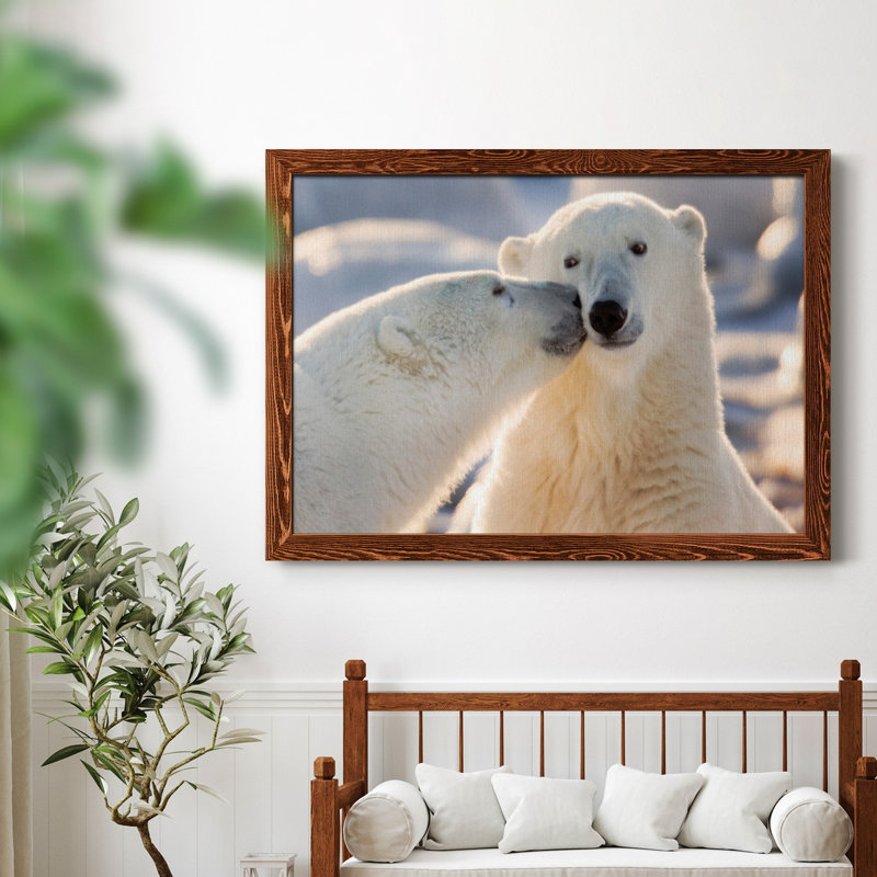 Baiser d'ours polaire - photographie sur toile, H 37,5 po x l 27,5 po x P 1,5 po, Érable