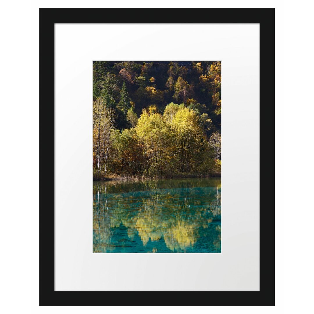 Gerahmtes Poster Herbstlicher Wald am See