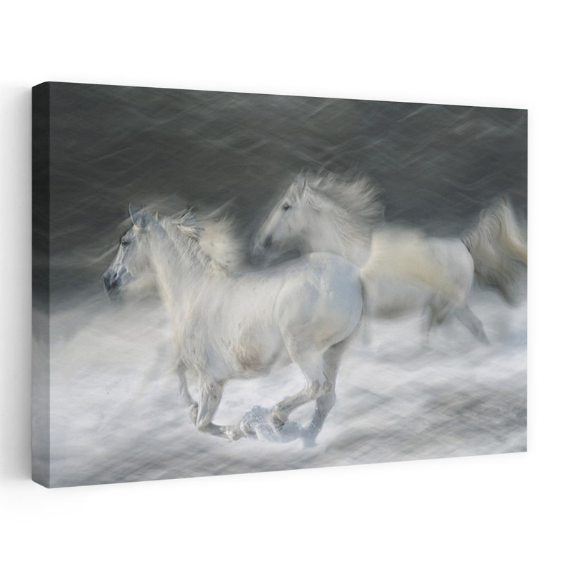 Print, 40.64cm H x 60.96cm W