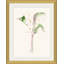 Calla Lilies Print by Yuki Osada
