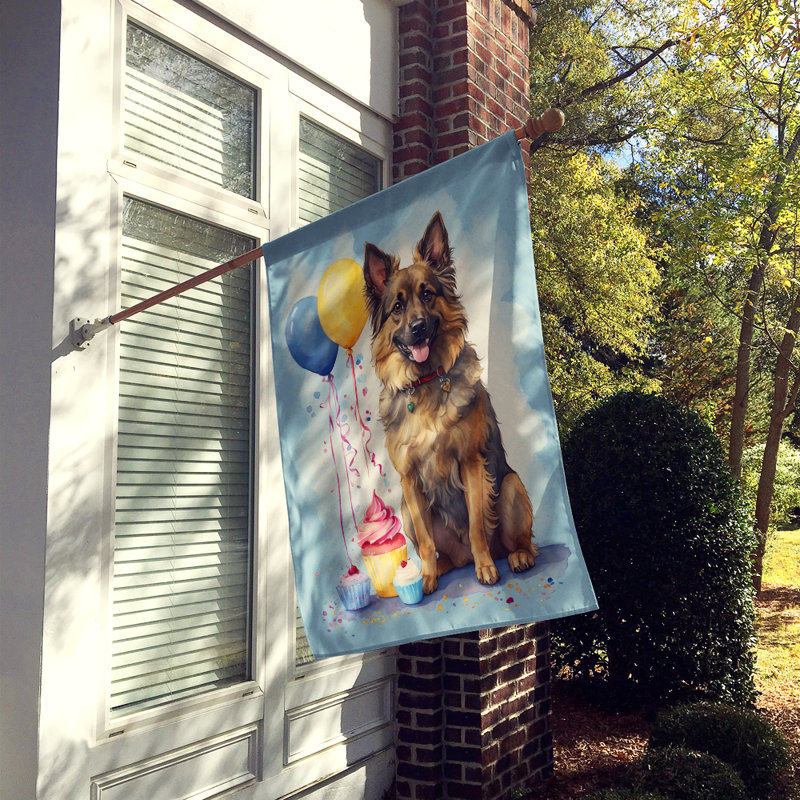 Drapeau «Happy Birthday House», Berger de Tervueren