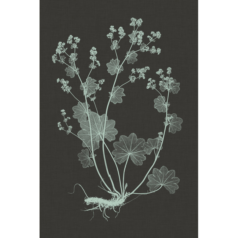 Mint & Charcoal Nature Study I by Vision Studio - Wrapped Canvas Painting, 46cm H x 30cm W