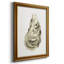 «Neutral Oyster Study I», reproduction d'art sur toile-201688611