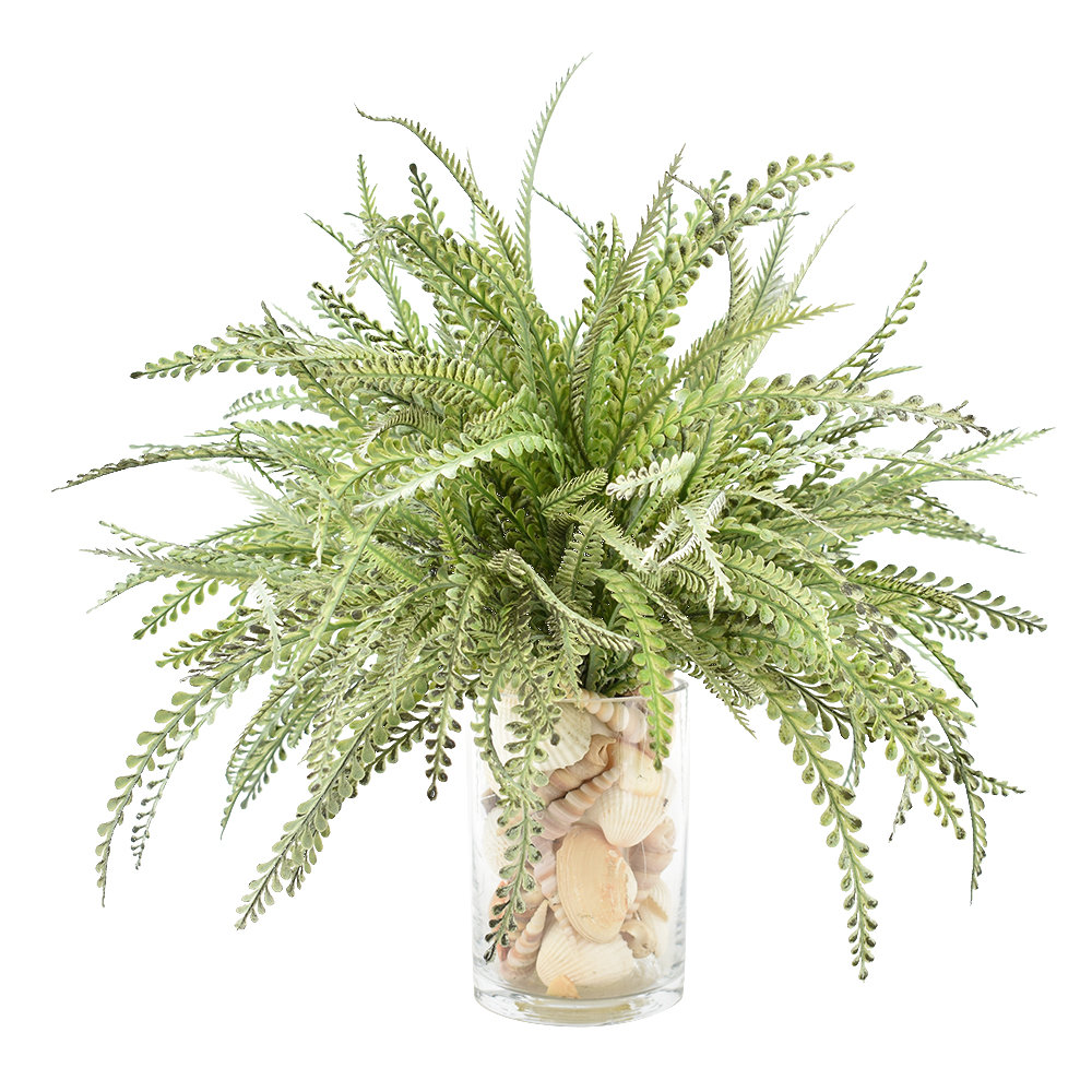 Primrue Feather Fern Arrangement with Shells & Reviews | Wayfair