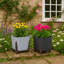 Suzelle Pot Planter-112122984-112122985