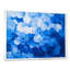 Impression sur toile de marguerites aqua-1995853346-1995853349-1995853531