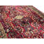 Oriental Indoor Rug
