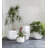 Amorphous Planter