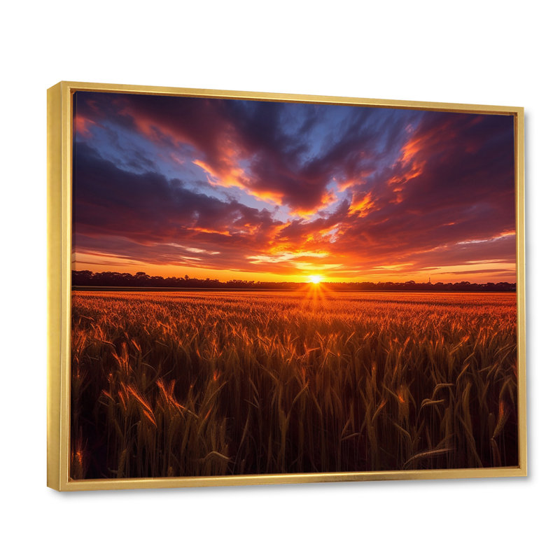 «Glorious Sunset Over Flanders Wheat Fields I», reproduction sur toile, H 34 po x l 44 po, Cadre flottant doré