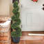 120cm Faux Boxwood Plant in Pot