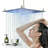 Rain Adjustable Shower Head 2.5 GPM GPM with Self-Cleaning