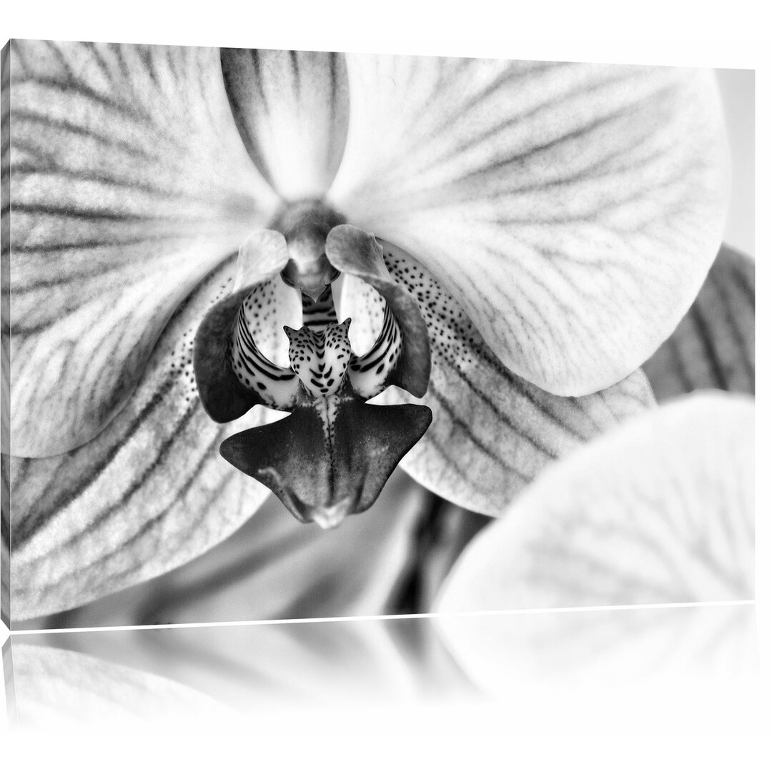 Leinwandbild Prächtige Rosa Orchidee in Monochrom